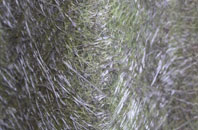 Hallew fibreglass roof work